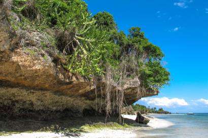 Chumbe Island in Zanzibar is a biodiversity hotspot