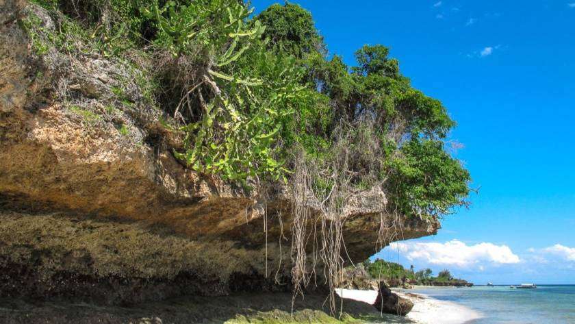 Chumbe Island in Zanzibar is a biodiversity hotspot