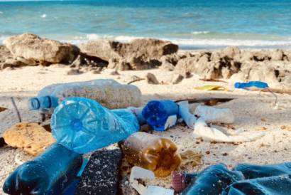 marine litter on the beach