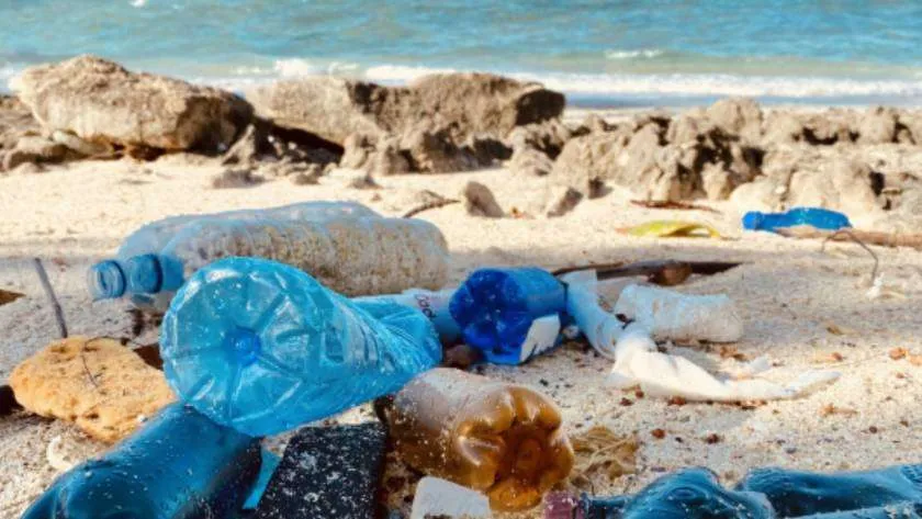 marine litter on the beach