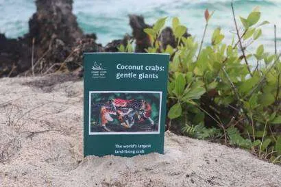 the coconut crab booklet in the sand on Chumbe Island