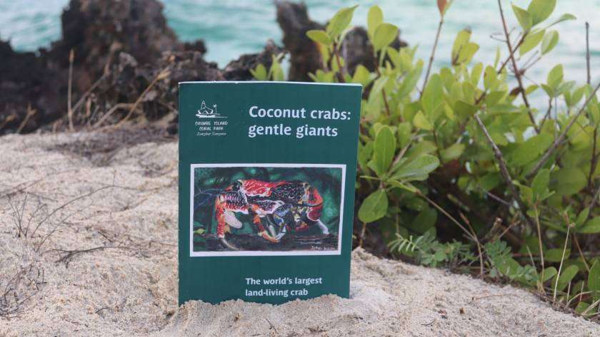 the coconut crab booklet in the sand on Chumbe Island