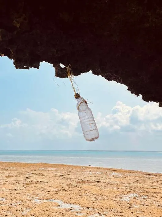 Beach Clean Up, Beach Clean Up events on Chumbe Island